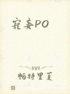 宠妾PO封面