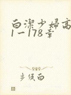 白洁少妇高义第1一178章封面