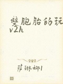 双胞胎的玩具1v2h封面