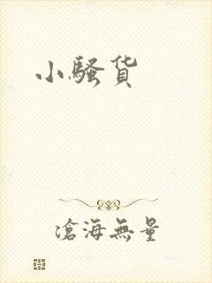 小骚货