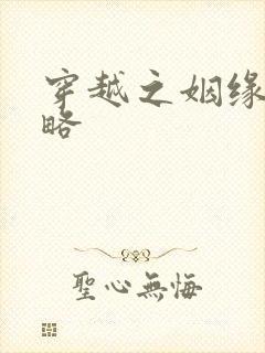 穿越之姻缘劫攻略封面