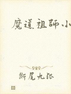 魔道祖师小说
