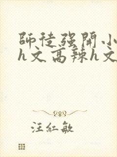 师徒强开小嫩苞h文高辣h文