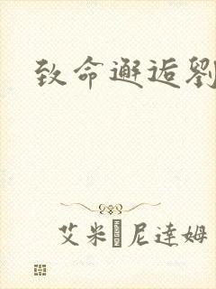 致命邂逅刘小寐封面