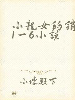 小龙女的销魂夜1一6小说封面