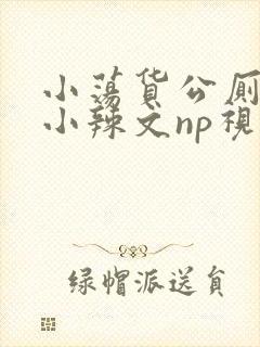 小荡货公厕h文小辣文np视频