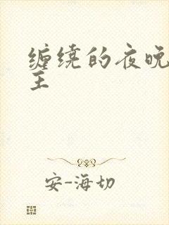 缠绕的夜晚双男主封面
