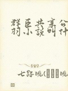 群臣共享公主银羽小说叫什么