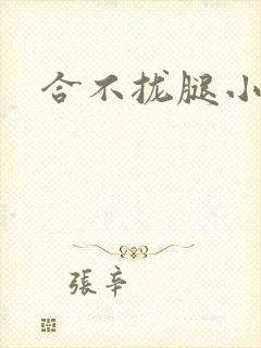合不拢腿小说
