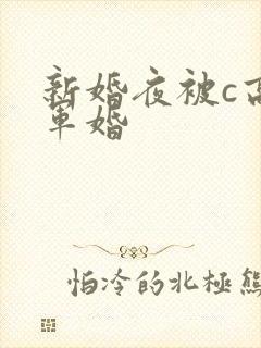 新婚夜被c高h军婚