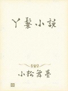 丫鬟小说