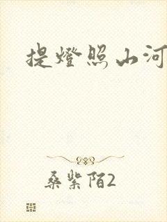 提灯照山河封面