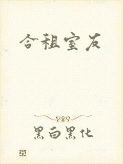 合租室友
