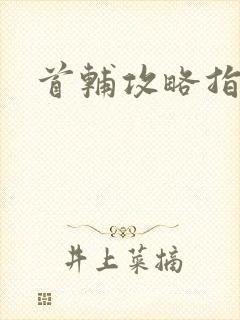 首辅攻略指南