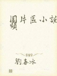 图片区小说区视频