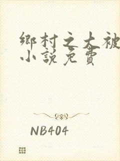 乡村之大被同眠小说免费封面