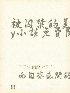 被囚禁的美人by小说免费阅读