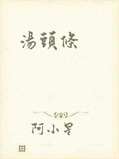汤头条