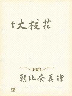 t大校花