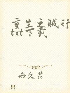 重生之贼行天下txt下载