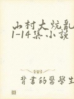 山村大炕乱肉续1-14集小说