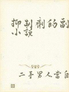 抑制剂的副作用小说封面