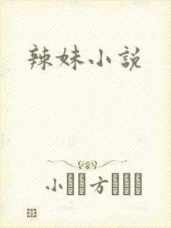 辣妹小说