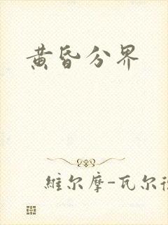 黄昏分界封面