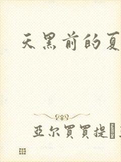 天黑前的夏天