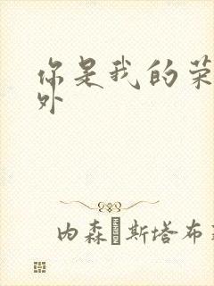你是我的荣耀番外