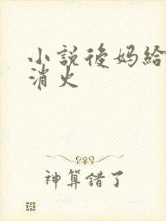 小说后妈给我消消火