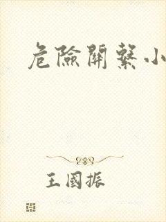 危险关系小说