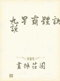 九星霸体诀 小说