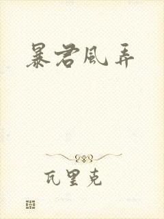暴君风弄封面