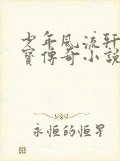 少年风流轩辕大宝传奇小说封面