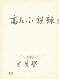 高h小说辣文