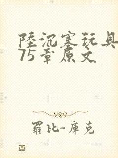 陆沉塞玩具高速75章原文