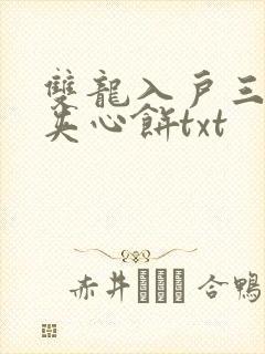 双龙入户三人行夹心饼txt
