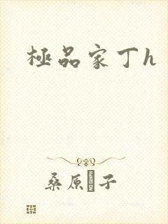 极品家丁h
