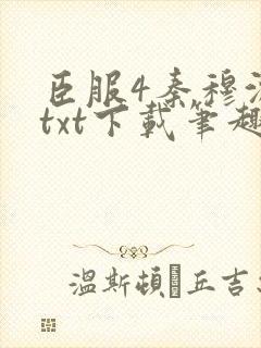 臣服4秦穆沈流txt下载笔趣阁