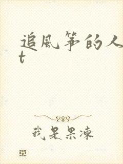 追风筝的人txt