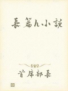 长篇h小说封面