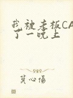 我被老板CAO了一晚上
