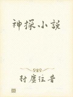 神探小说
