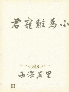 君宠难为小说