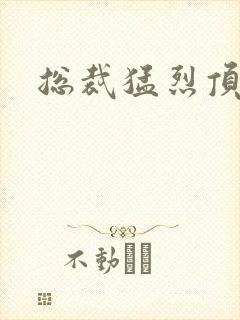 总裁猛烈顶弄h