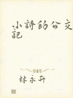 小诗的公交车日记