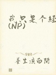 我只是个经纪人(NP)