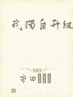 我独自升级