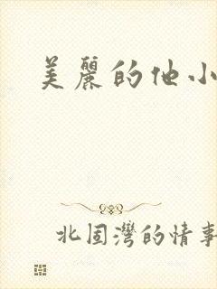 美丽的他小说